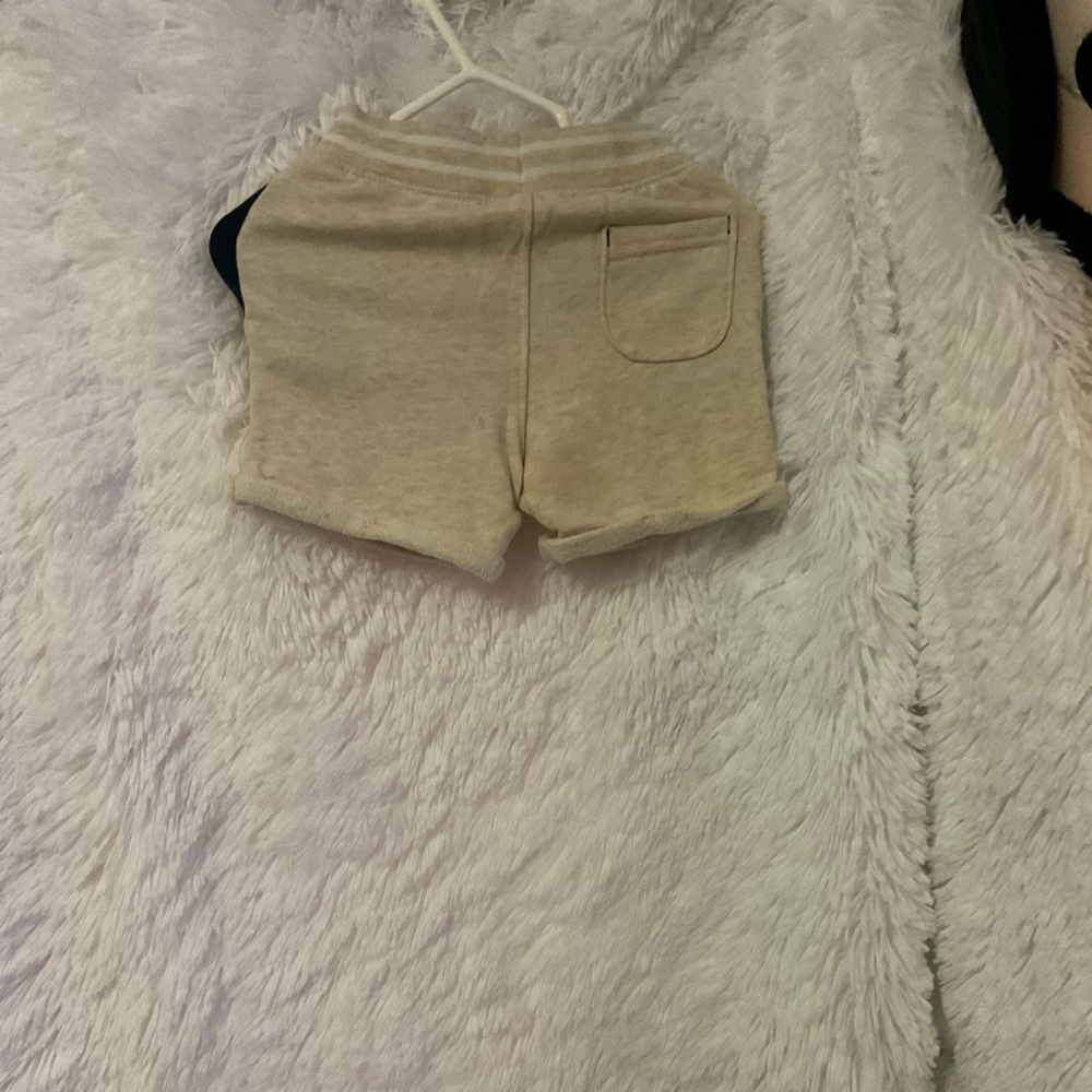 Nice boy pant